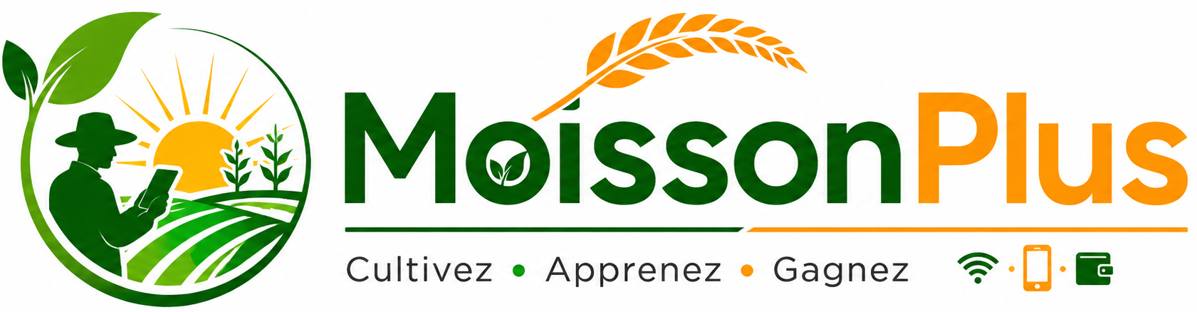 MoissonPlus